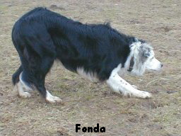 Fonda