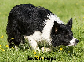 Bwlch Hope