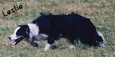 Leslie